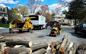 Best Lawn Maintenance Plans  in Callaway, MD